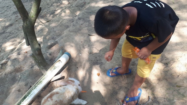 dapatkan gambar animasi Wisata Taman Rusa Dan Kelinci Di Kota Batam Halaman All Terbaru