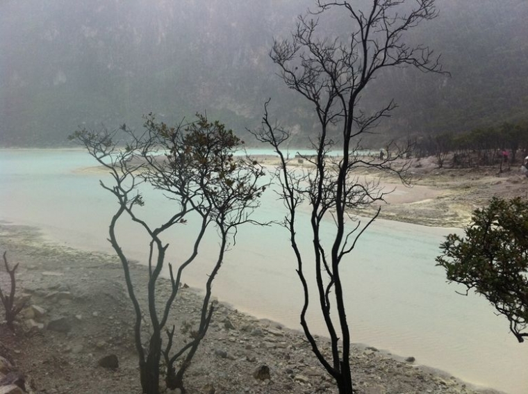 holiday-adha-2013-piknik-36-jpg-5c36c54712ae9425a53ec7e2.jpg