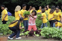Michelle Obama and the While House's Vegetable Garden (Foto : NY Daily News) 