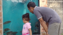 Seorang bapak mengenalkan ikan gurami kepada anaknya di Wisata Gurami Seduri (foto: Luana Yunaneva)