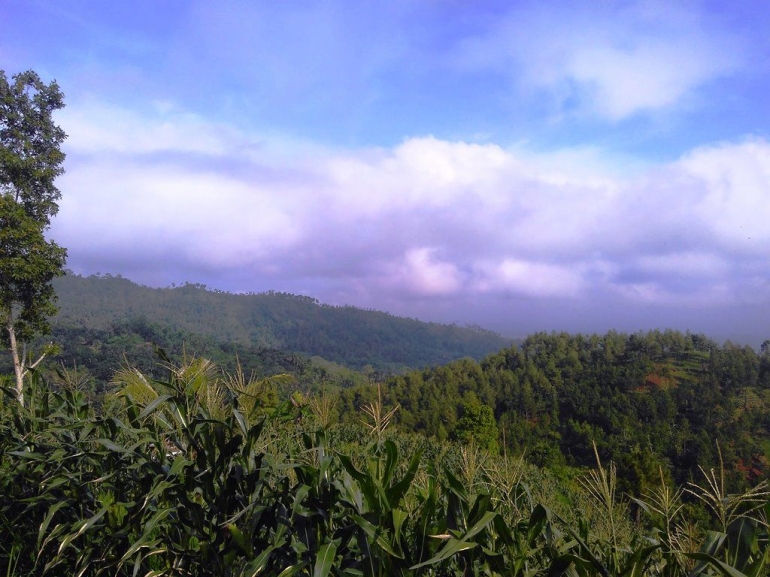 Di paling depan sana Bukit Watu Sodong destinasi wisata alam desa Glempang Mandiraja Banjarnegara