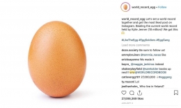 The Egg di akun IG world_record_egg - Ilustrasi: thestar.com