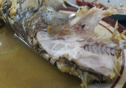 Ikan Manyung yang dimasak adalah ikan segar. Berdaging banyak dan enak. Tidak amis, karena pintar memasaknya. (Dokpri).