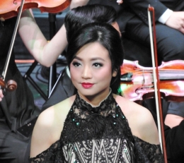 Finna - Violin in the concert1 (dokpri)