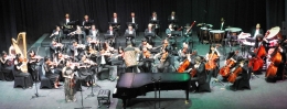 Finna - Violin in the concert4 (dokpri)