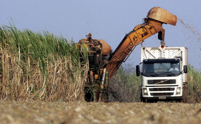 https://uk.reuters.com/article/uk-brazil-ethanol-corn/brazils-expected-rise-in-ethanol-demand-to-be-met-by-corn-based-fuel-