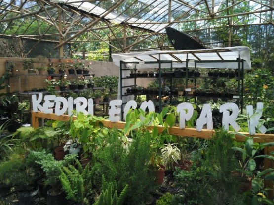 Beragam tanaman hias yang dijual sebagai buah tangan Kediri Eco Park (foto: Luana Yunaneva)