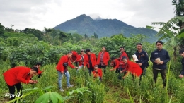 Teruna Agroteknologi UNTAG Banyuwangi di ladang gandum berlatar G. Telomoyo (dok pri)