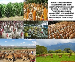 Indonesia Seharusnya Mampu Swasembada Peternakan