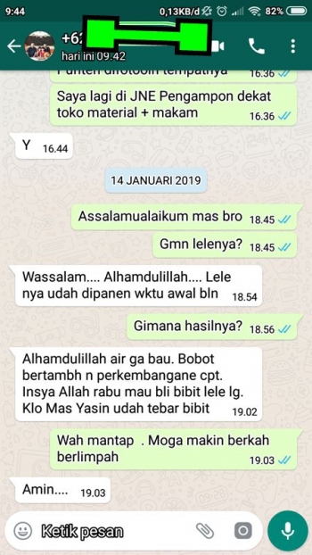 Teknik Khusus Budidaya Lele Di Ember Yang Terbukti Berhasil Budidaya Ikan Lele Lebih Sukses dan Ramah Lingkungan Halaman 2 - Kompasiana.com