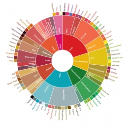 Flavour Wheel Notes yang dirilis oleh Speciality Coffee Association of America (SCAA). Sumber Gambar: SCAA