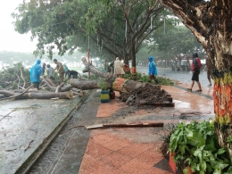 Kadis LH (kedua dari kanan) bersama jajarannya bersihkan pohon tumbang (22/01/2019).