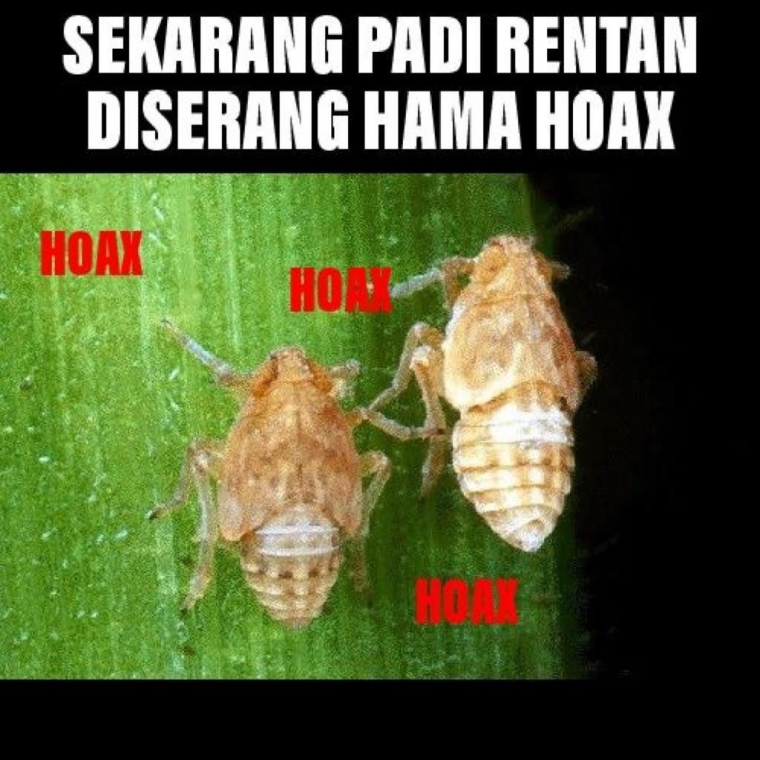Hama hoax (meme edit pribadi)