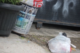 pagi - pagi sampah yang sudah ditaruh di tong sampah diacak- acak kucing (foto By Joko Dwiatmoko)