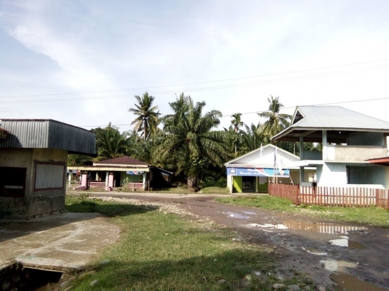 Rumah Penduduk dengan latar belakang kebun Sawit. Dokumen pribadi.