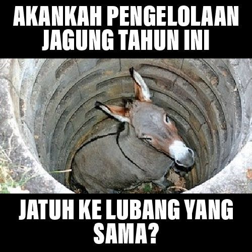 Jatuh ke lubang yg sama (meme edit pribadi)