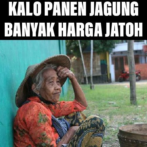 Harga bisa jatuh (meme editan pribadi) 