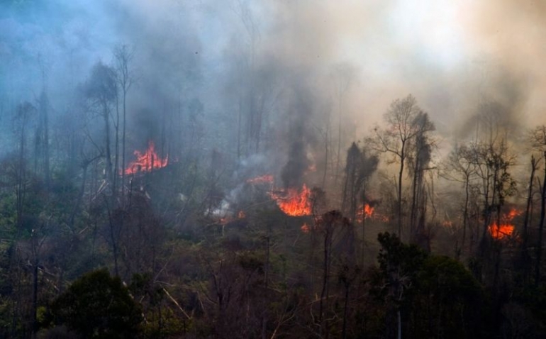 Bencana Kebakaran Hutan Tahunan (okezone.com)
