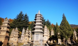 Hutan pagoda (dokpri)