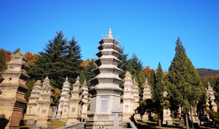 Hutan pagoda (dokpri)