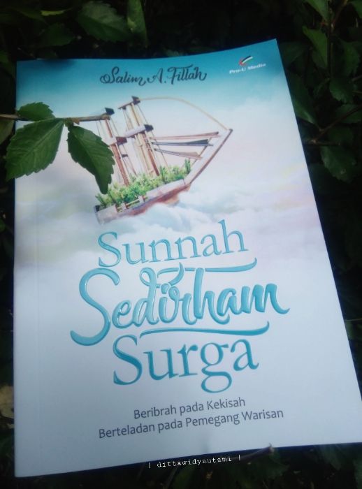 Buku Sunnah Sedirham Surga karya Ust. Salim A. Fillah (dokpri)