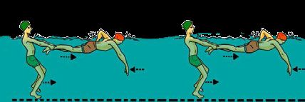 Tahapan Belajar Berenang Gaya Bebas Free Style Halaman All Kompasiana Com