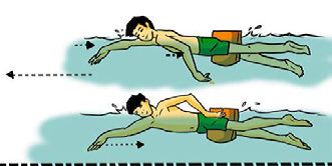 Tahapan Belajar Berenang Gaya Bebas Free Style Halaman All Kompasiana Com