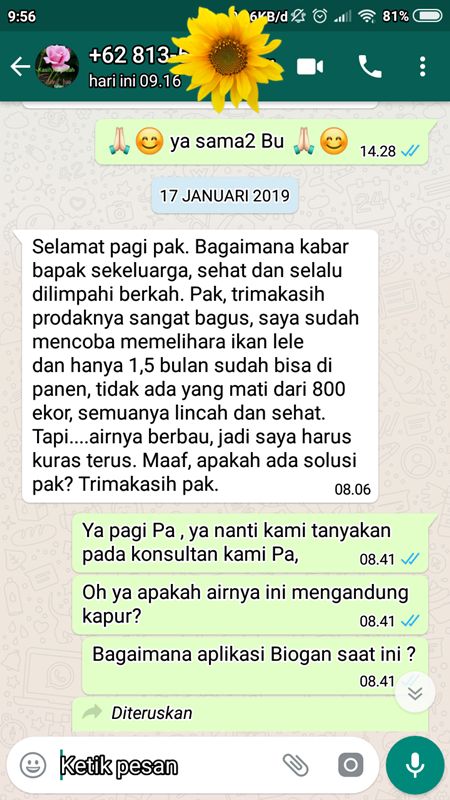 berapa banyak pakan untuk ikan lele 1000 menjadi 1 kg (dokpri)