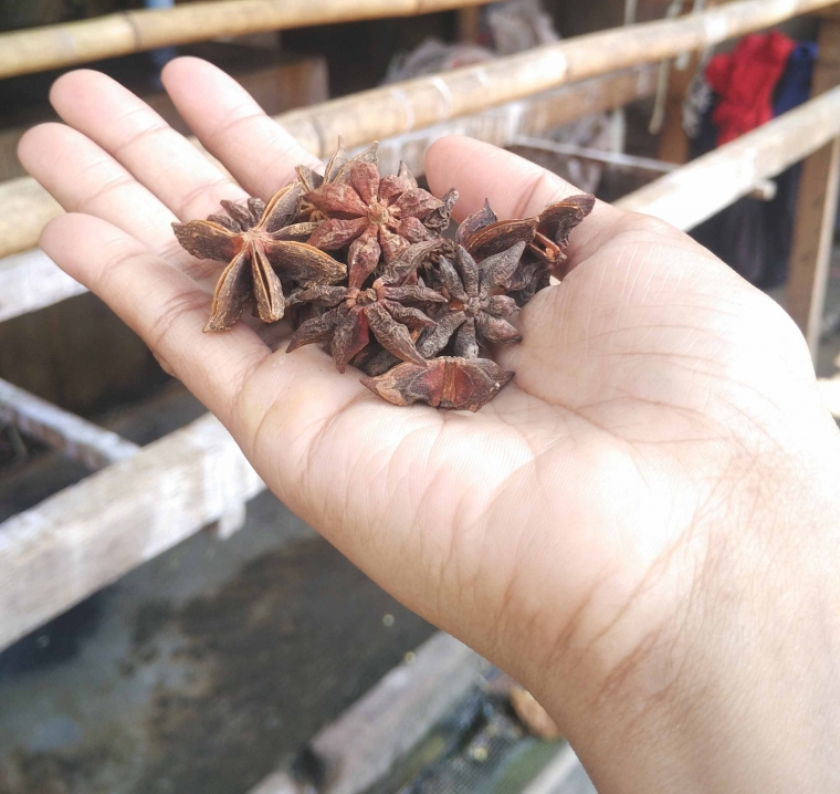 Detail bunga pekak kering (foto: Luana Yunaneva)