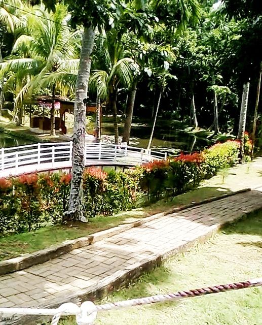 taman (dokpri)