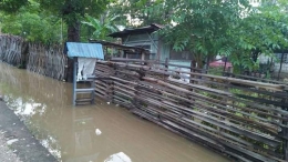 Rumah warga desa Tuafanu yang terendam banjir. Foto Darli Nenotek.