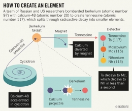Berkelium elemen ke 117 dalam Tabel Periodik terkini. Sumber: Nature