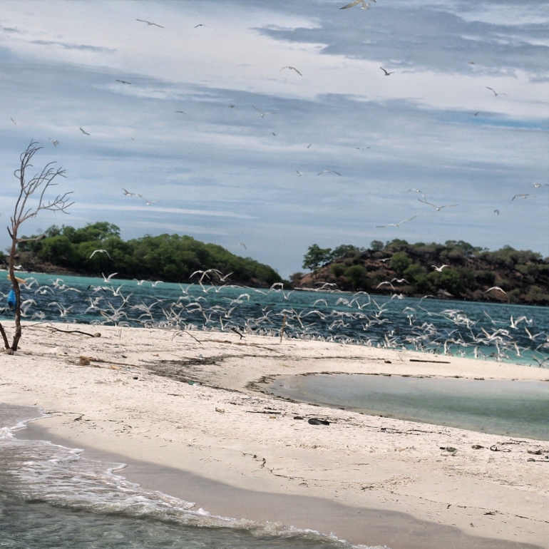 Pulau Watan Peni dari kejauhan (Sumber Foto: http://puhugelong.blogspot.com/2014/06/marvelous-of-adonara-pulau-pasir-nuha.html)