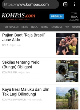 Capture Indeks Berita dan Tulisan yang Tayang di Kompas.com (Dokpri)