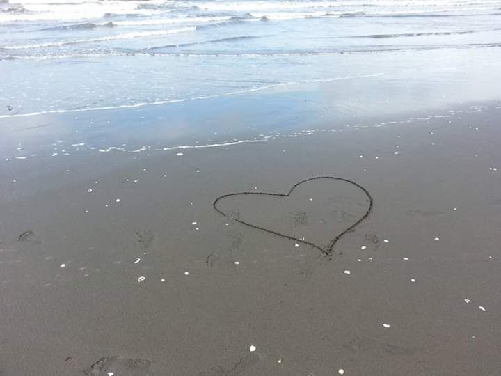 Sisa kerang bertebaran indah di atas pasir pantai Teluk Penyu. Photo by Ari