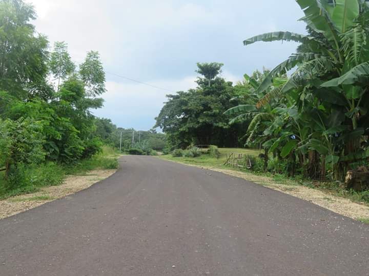 Kondisi jalan di Desa Waibao, Kecamatan Tanjung Bunga, Kabupaten Flores Timur yang baru dibangun. Dokumen Pribadi