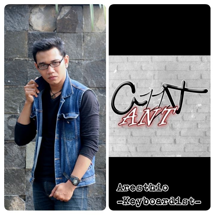 @antproject_official