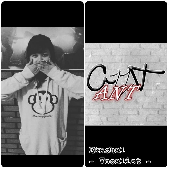 @antproject_official