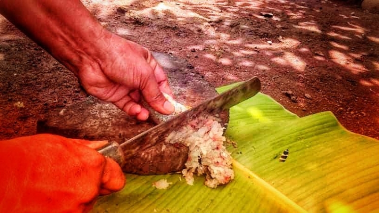 Setelah dibersihkan, ikan kemudian dicincang. Dokumen pribadi