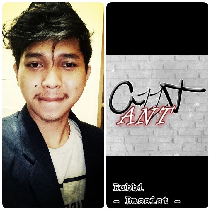 @antproject_official