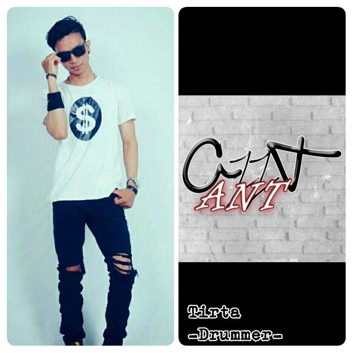 @antproject_official