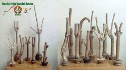 Aneka bambu unik KPBUN (foto Alex Palit)