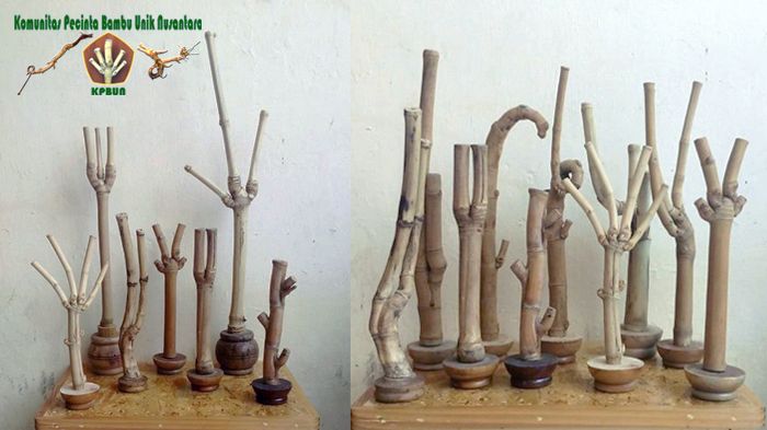Aneka bambu unik KPBUN (foto Alex Palit)