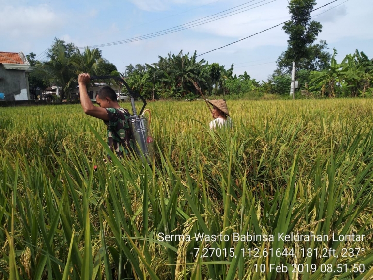 Serma Wasito membantu petani menyemprotkan pestisida | dokpri