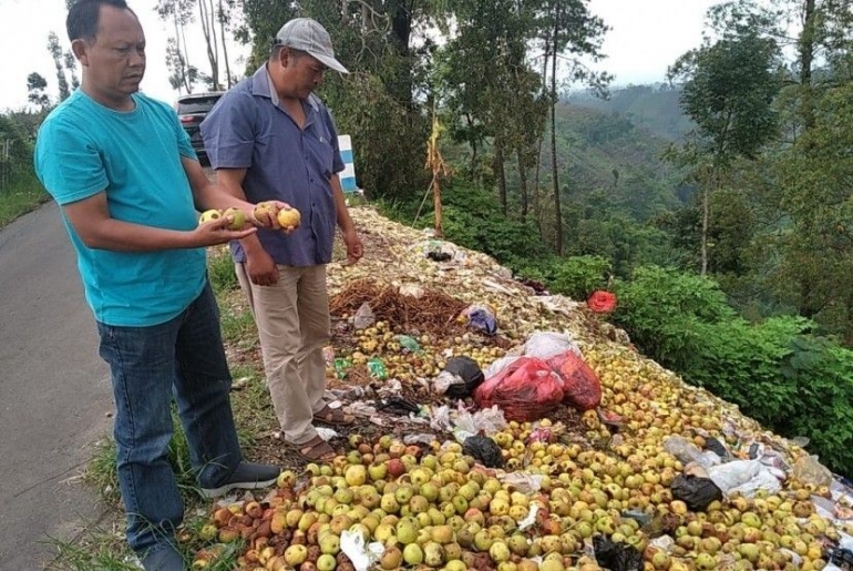 Pedagang apel manalagi Malang membuang apel afkir di pinggi jalan raya (republika.co.id)