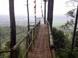 Jembatan bambu di Djulangadeg dengan pemandangan indah di bawahnya. Photo by Ari