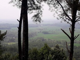 Pemandangan lainnya dari atas Djulangadeg hills. Photo by Ari