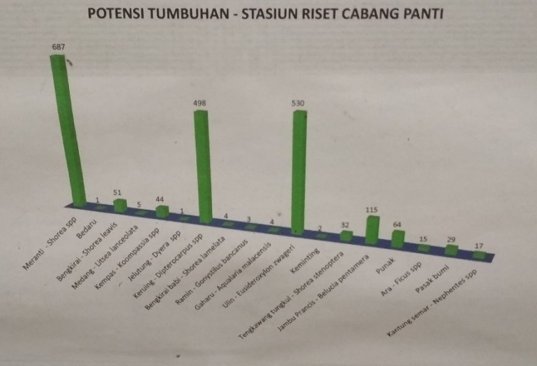 Potensi Tumbuhan di SPCP,Gunung Palung. Foto Capture dari data TNGP