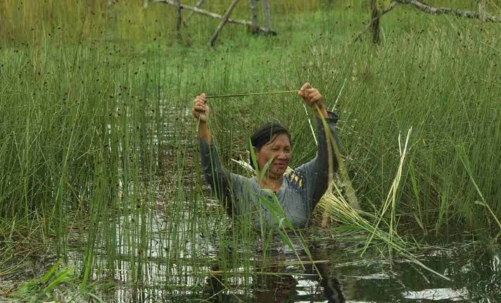 Sumber Foto: wanitaindonesia.co.id