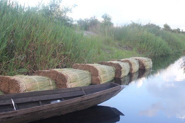 Sumber Foto: yayasan perspektif baru